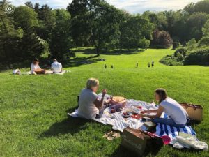 picnic and wine tasting